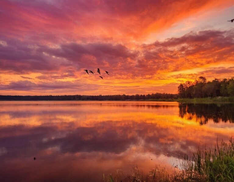 Lautlehre Wissenschaft Der Sprachlichen Laute Was bedeutet phonetisch: Grundbegriffe der Lautlehre einfach erklärt