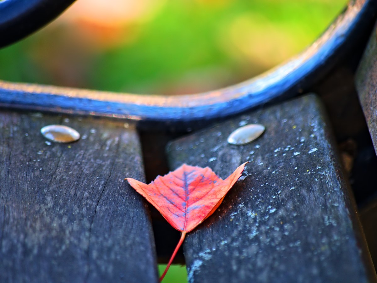Leere Parkbank im Herbst